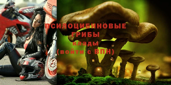 jwh Беломорск